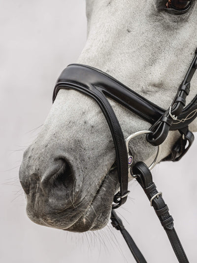 Bridle Jump Off