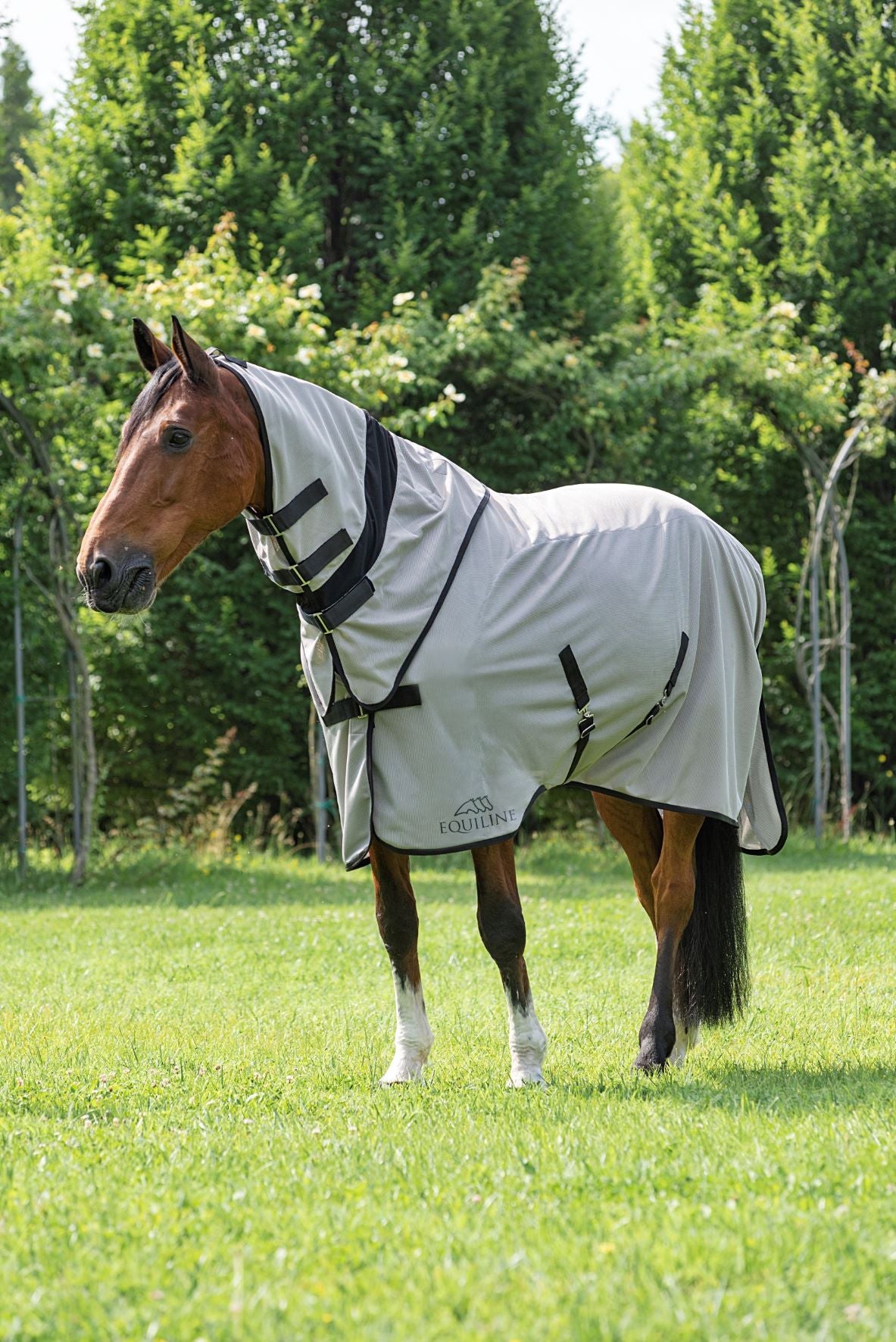 LEMONFLY - PADDOCK ANTI-FLIEGEN-DECKE MIT HALSTEIL