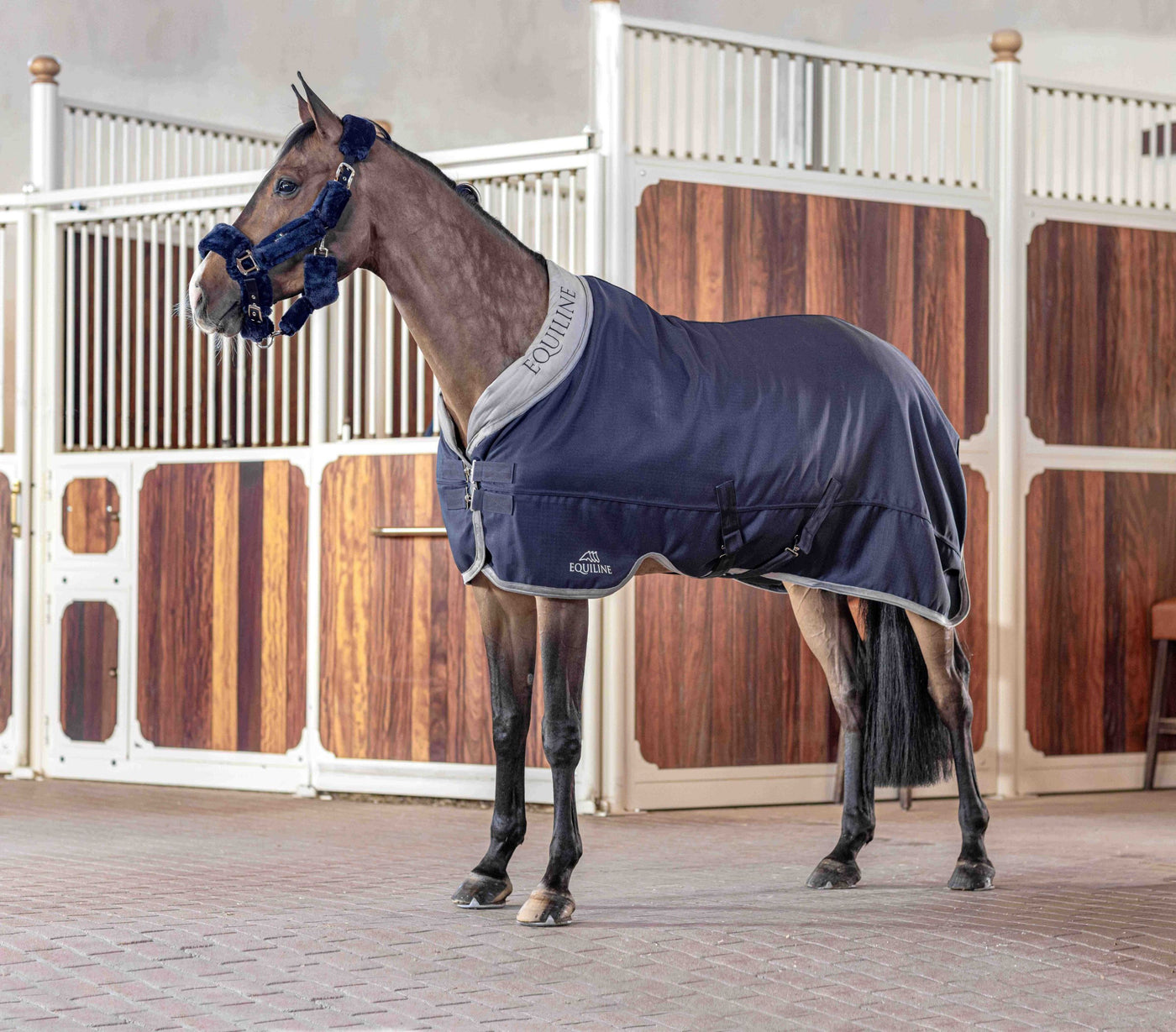 Equiline stable blanket 400 grams ANTHURIU