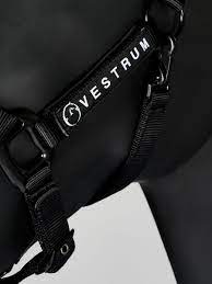 Vestrum Locri halter with rope