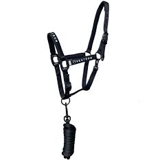 Vestrum Locri halter with rope