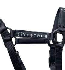 Vestrum Locri halter with rope