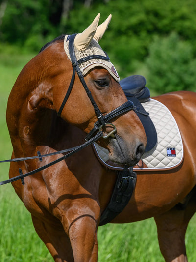 Tommy Hilfiger Equestrian Fliegenmütze für Pferde Princeton