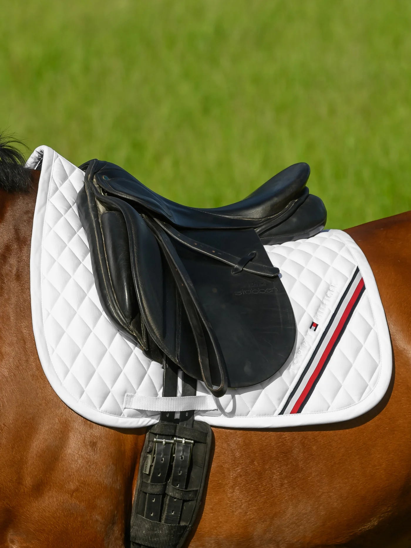 Tommy Hilfiger Equestrian Springschabracke Stanford